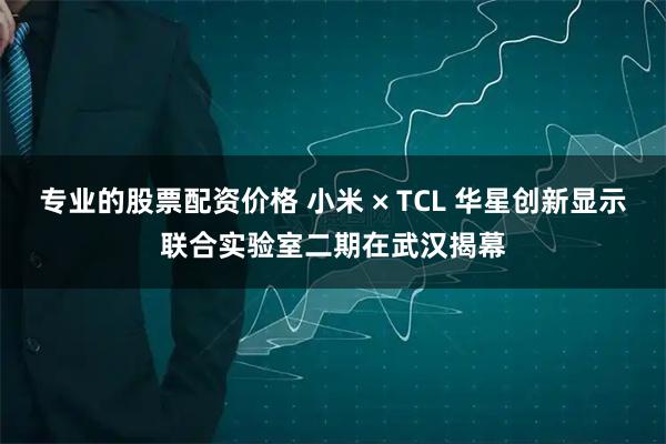专业的股票配资价格 小米 × TCL 华星创新显示联合实验室二期在武汉揭幕